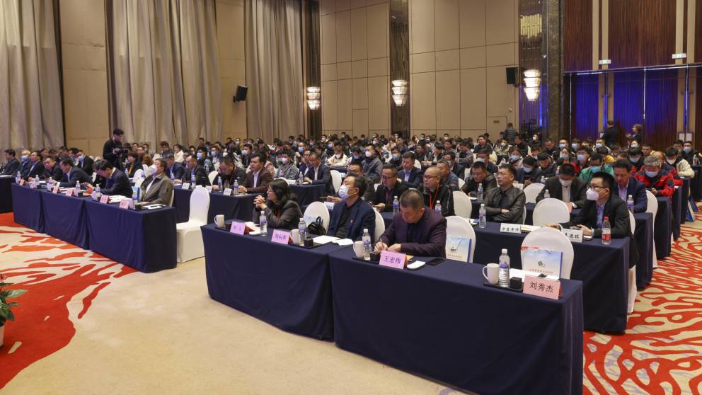 图片3.jpg 图片3.jpg